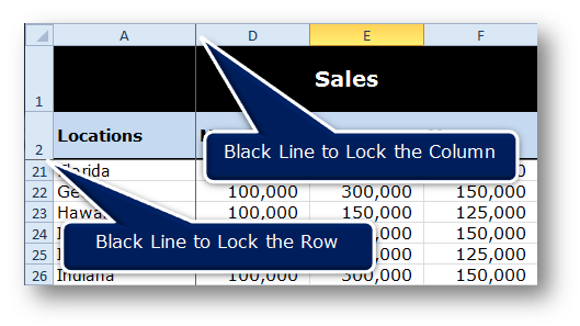 Black Lines Indicate the Frozen Rows and Columns